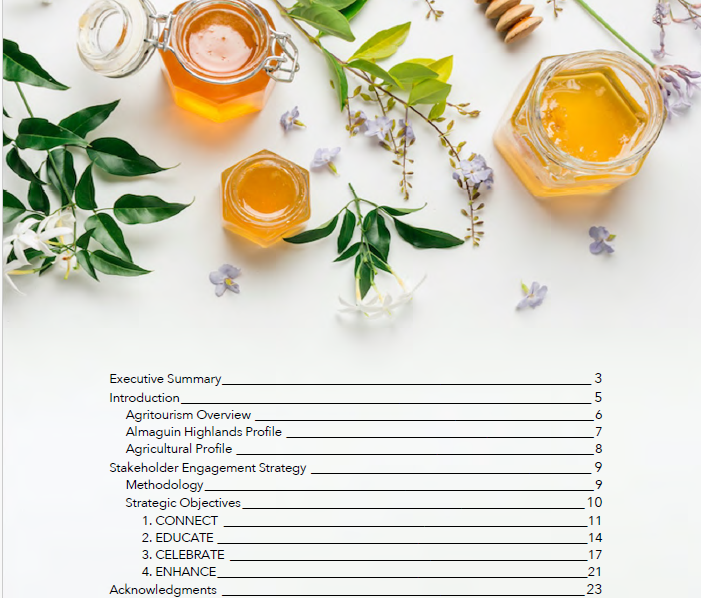 How to Create a Table of Contents in Word — A Quick Guide for Beginners